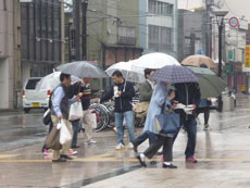 雨にも負けず真実を訴えました