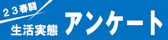 23春闘 生活実態アンケート